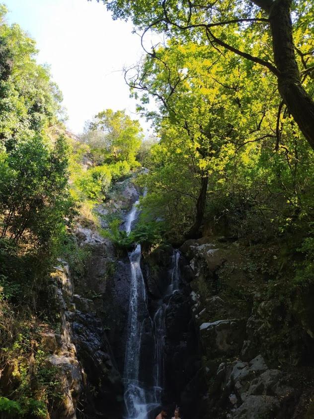 Res Do Chao Da Montanha Magica Διαμέρισμα Lousã Εξωτερικό φωτογραφία